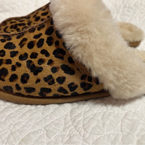 Women’s Ugg Scuffette II Water-Resistant Slipper - Picture 7 of 7